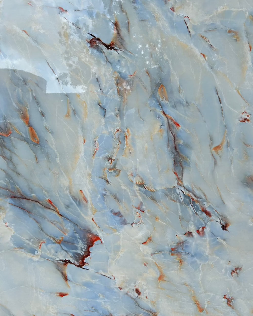 Earthy Elegance Marble PVC Wall Panel